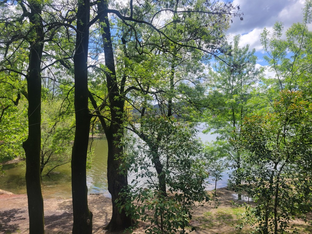 exploring tirana park