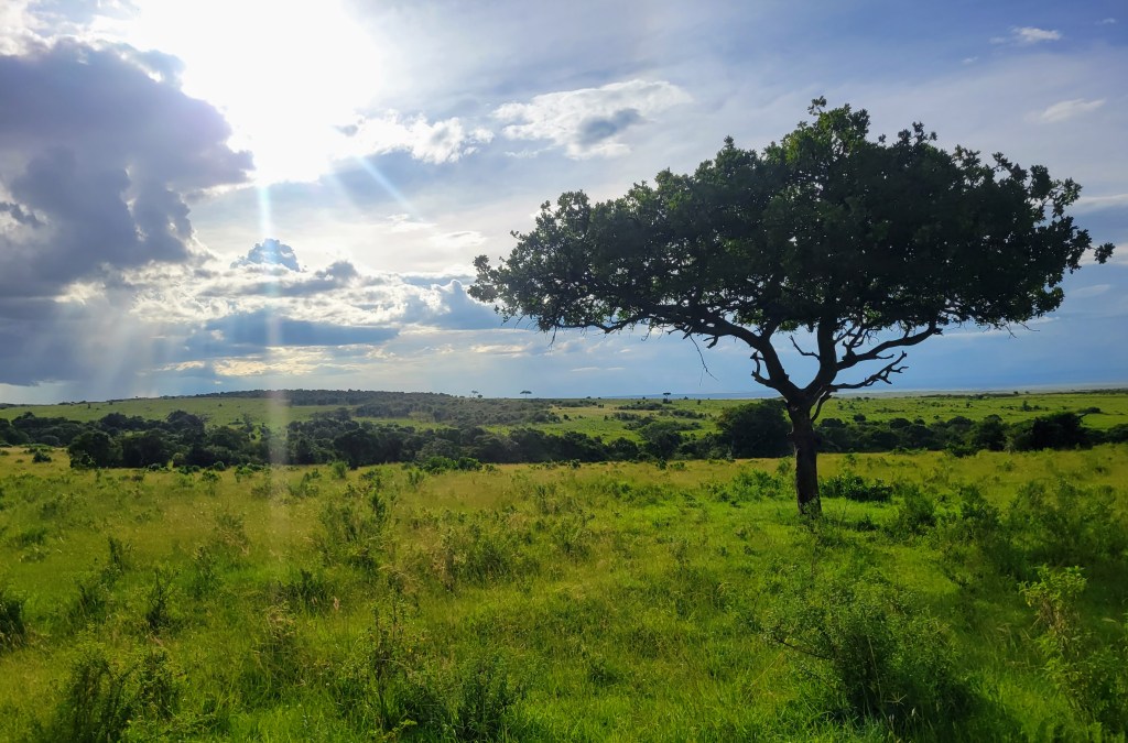 masaii mara in kenya